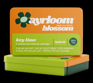Key Lime Ayrloom
