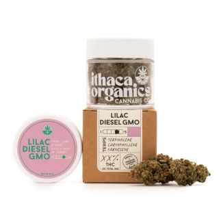 Lilac Diesel GMO Ithaca Organics
