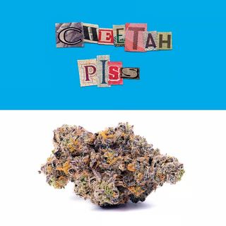 Cheetah Piss Cookies