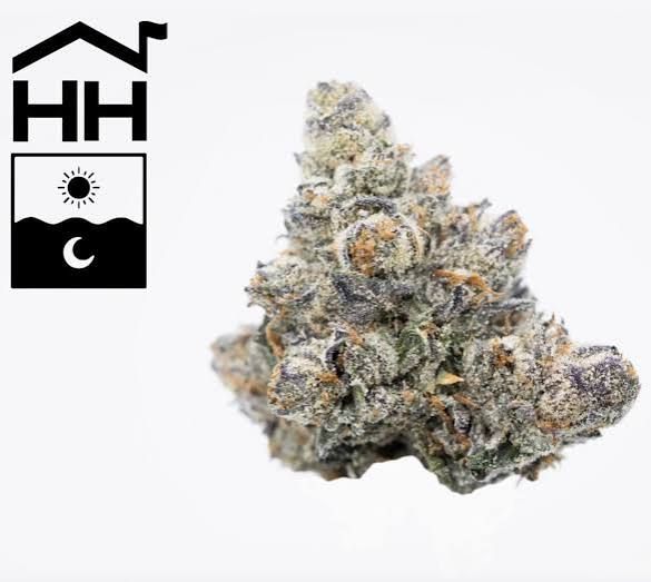 Wedding Cake F2 x Jungle Cake 7g Harbor House