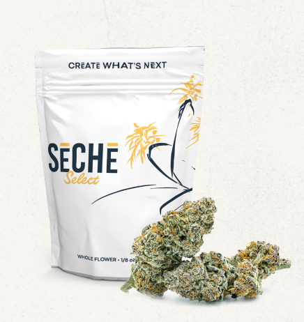 Goofiez SeCHe
