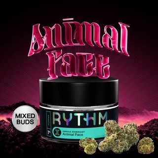 Animal Face Pre-Pack (Buds) RYTHM