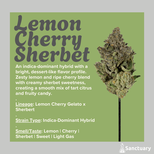Lemon Cherry Sherbert Sanctuary