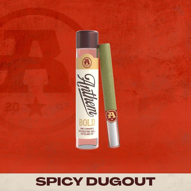 BOLD Spicy Dugout Infused Anthem BOLD Spicy Dugout Infused Anthem