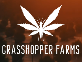 Runtz Grasshopper Farms