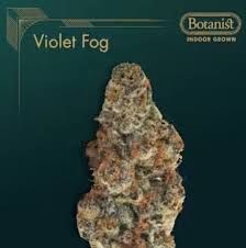 Violet Fog The Botanist
