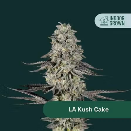 La Kush Cake The Botanist