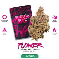 Guava Gelato Bodega Boyz