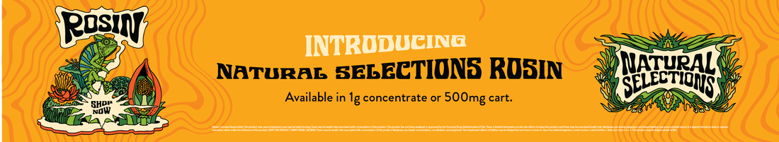 Cannabis Promo, Cannabis Sales, Cannabis Offers, Cannabis on Sale, NS Rosin Drop