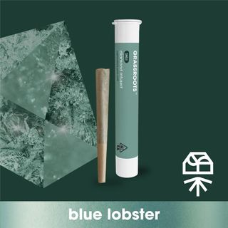 Blue Lobster Diamond  Grassroots