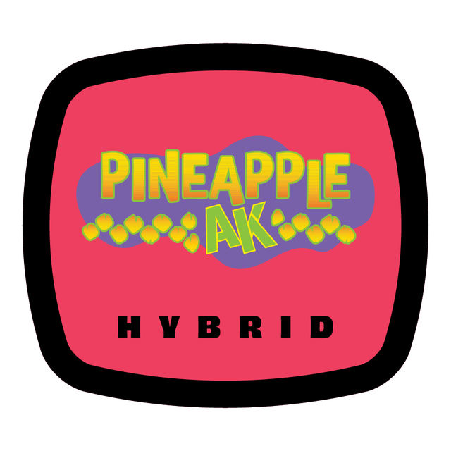 Pineapple AK 93 Boyz Pineapple AK 93 Boyz