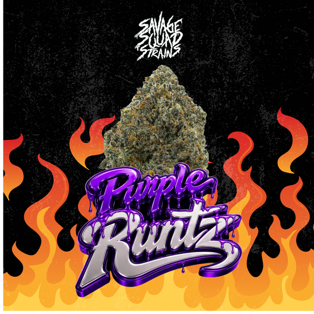 Purple Runtz Savage Squad Purple Runtz Savage Squad