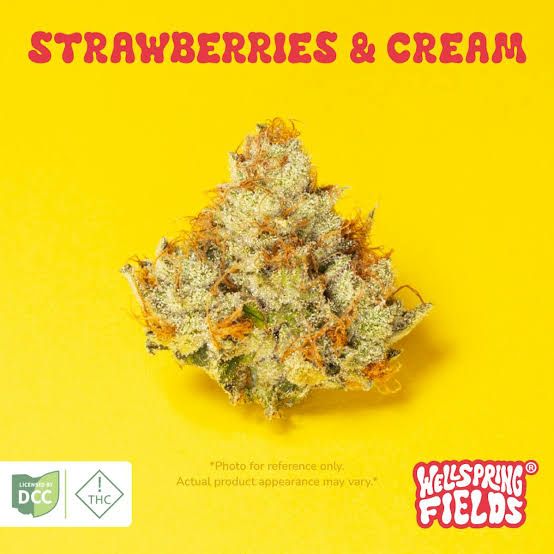 Strawberries & Cream Wellsprings