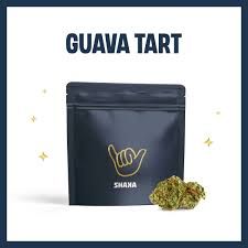 Guava Tart Shaka