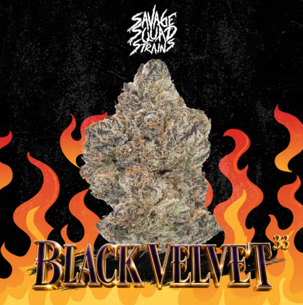 Black Velvet #33 Savage Squad