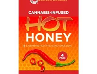 The Daily Buzz HOT HONEY 4PK Culinary Canna Company