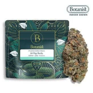 LA Pop Rockz The Botanist