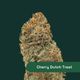 Cherry Dutch Treat The Botanist Cherry Dutch Treat The Botanist