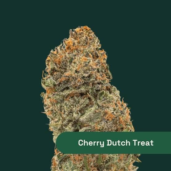 Cherry Dutch Treat The Botanist Cherry Dutch Treat The Botanist