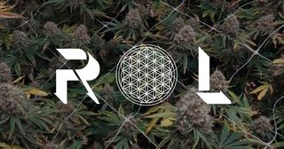 Agent Orange Rhythm of Life