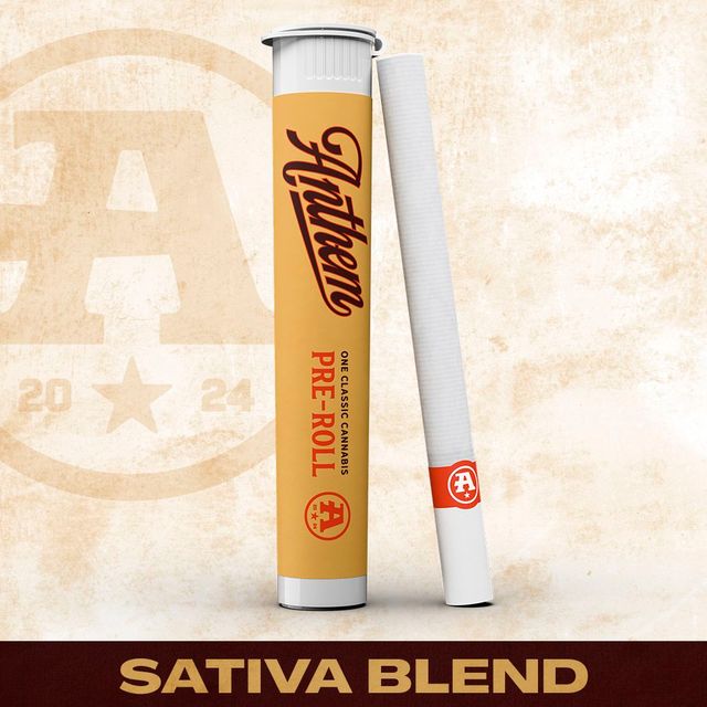 Tangie Dream Bold Anthem Tangie Dream Bold Anthem