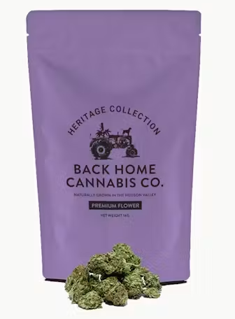Northern Lights Back Home Cannabis