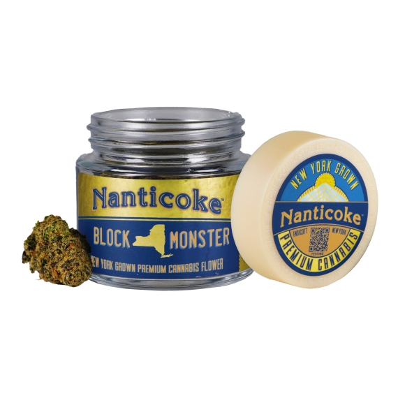 Nanticoke: Block Monster