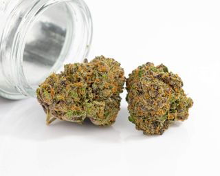 Blue Piff Colorado Kind Holdings LLC
