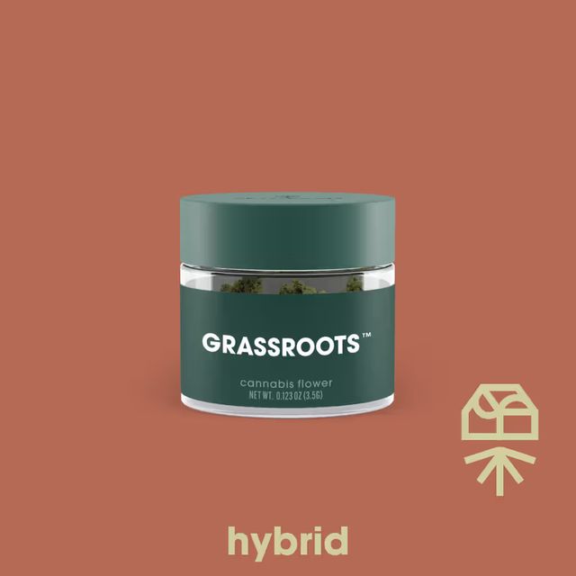BANANA BELTS - (h) GRASSROOTS