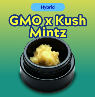 GMO x Kush Mintz Live Resin North Lake Supply