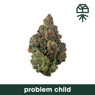 Cannabis Promo, Cannabis Sales, Cannabis Discounts, Cannabis on Sale, $30 Grassroots 3.5g 3