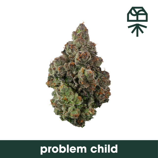 Problem Child Grassroots Problem Child Grassroots