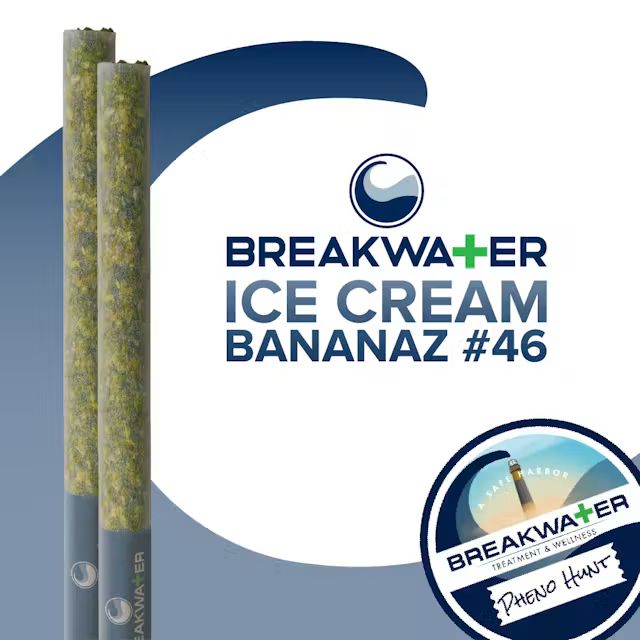 Ice Cream Bananaz #46 Breakwater