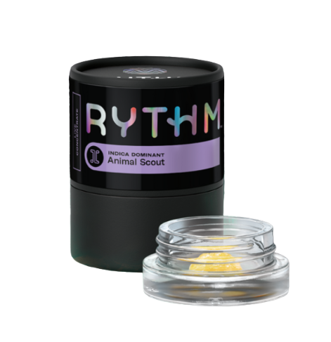 Animal Scout Rythm Animal Scout Rythm