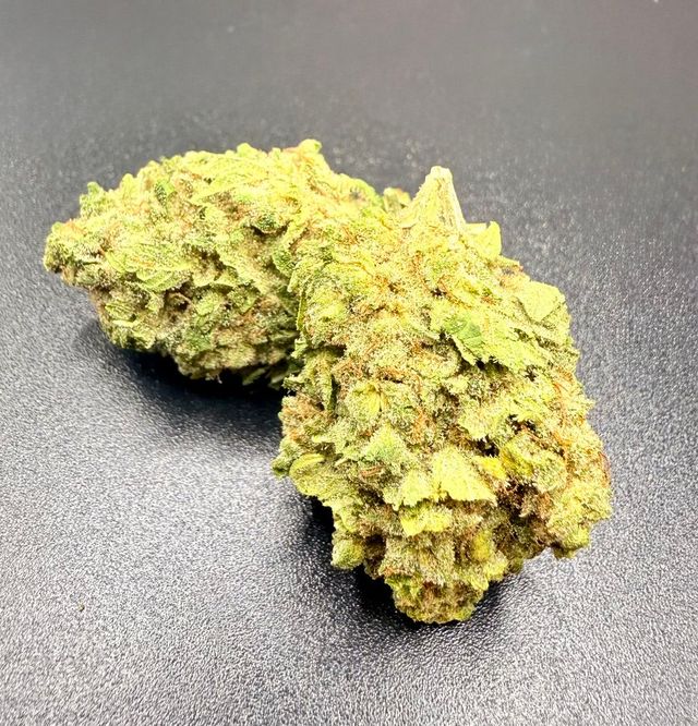 California Haze Options Grow