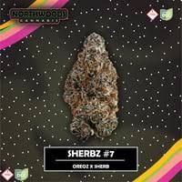 Sherbz #7 Northwoods
