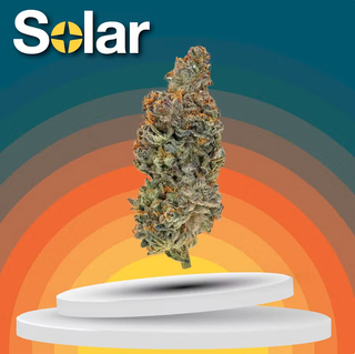Nimbus Snacks Solar Cannabis Co.