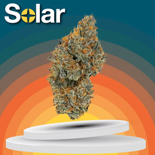 Applescotti Solar Cannabis Co.