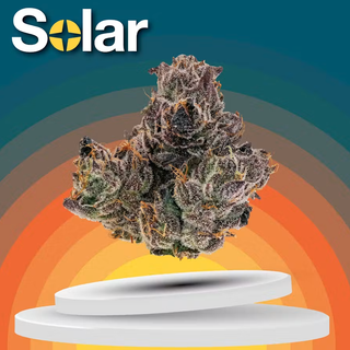 Gelato 33 Solar Cannabis Co.
