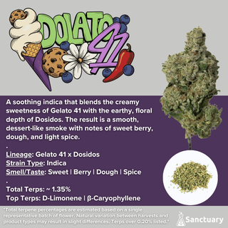 Dolato 41 Sanctuary
