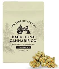 Back Home Cannabis| Super Lemon Haze
