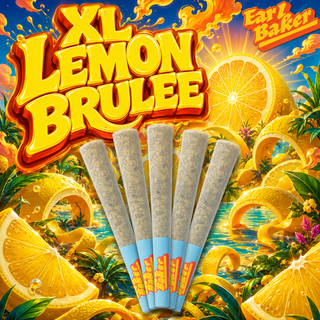 XL Lemon Brulee Earl Baker