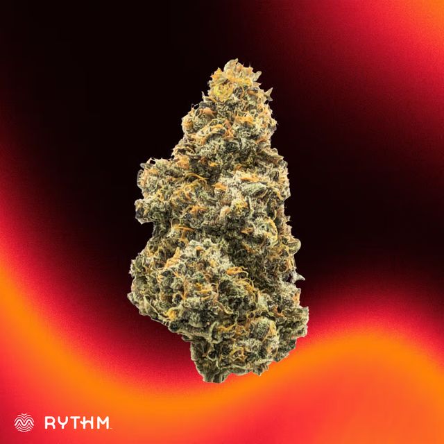 Jacks Delight | Rythm