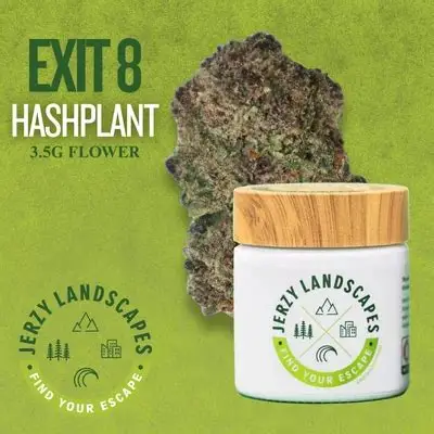 Exit 8 Hashplant Jerzy Landscapes