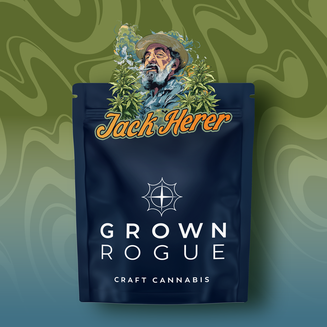 Jack Herer Grown Rogue 