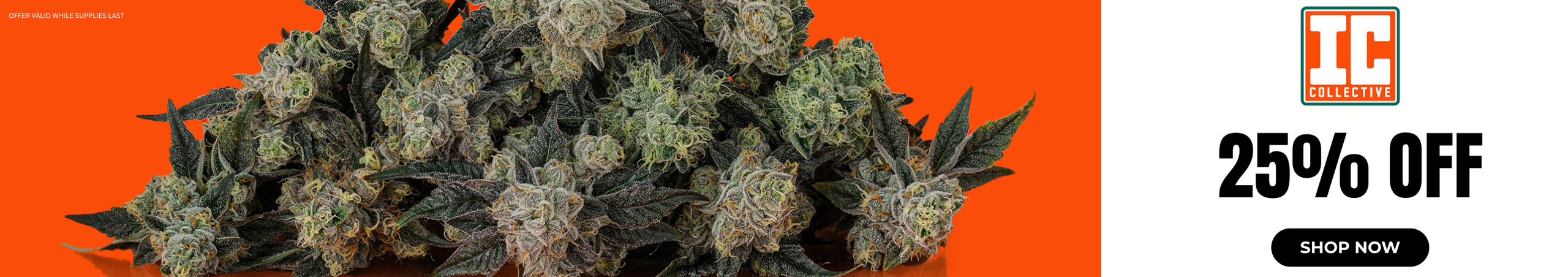 Cannabis Promo, Cannabis Sales, Cannabis Discounts, Cannabis on Sale, IC Collective: 25% Off