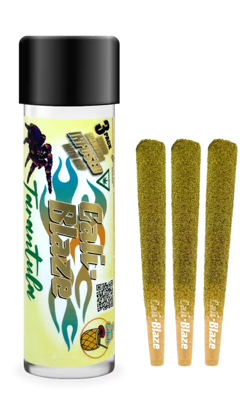 Pina Colada Tarantula Cali Blaze