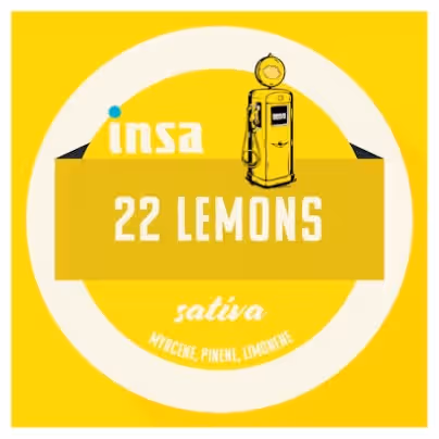 22 Lemons INSA