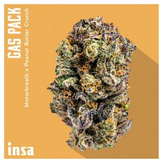 Gas Pack INSA
