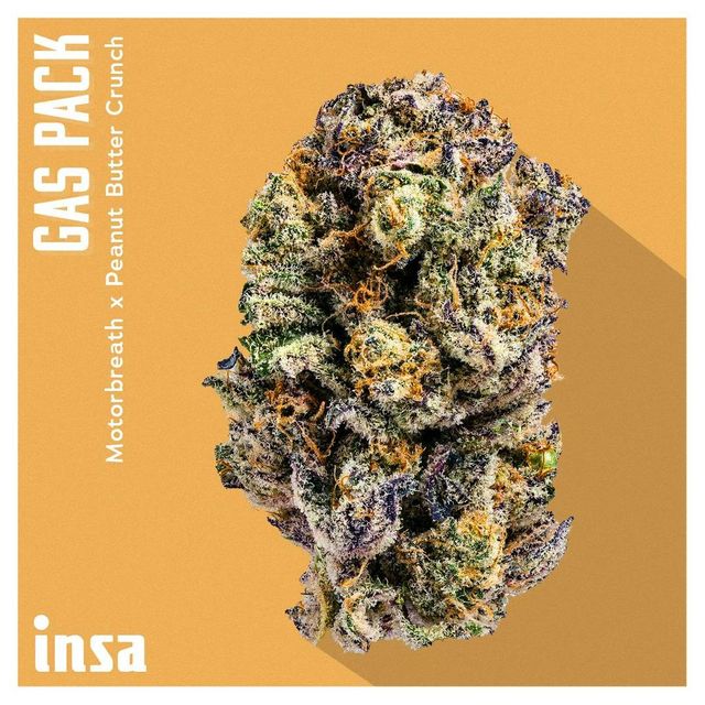 Gas Pack INSA